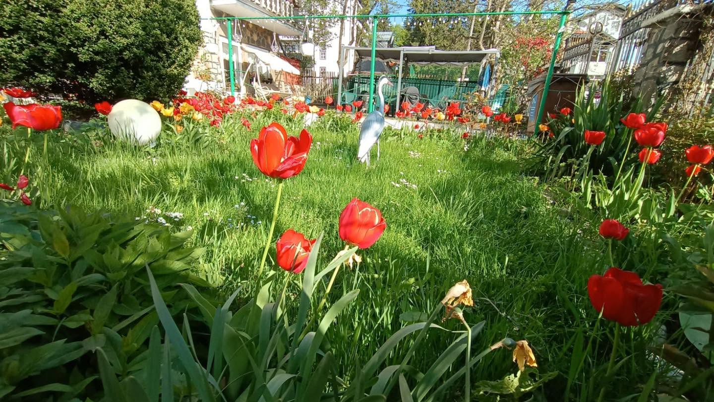 Photo Vila Casa Albă